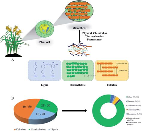 Lignocellulosic biomass.